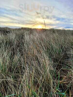 Doon The Beach