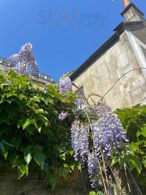 Daisy & Bean Bakeshop