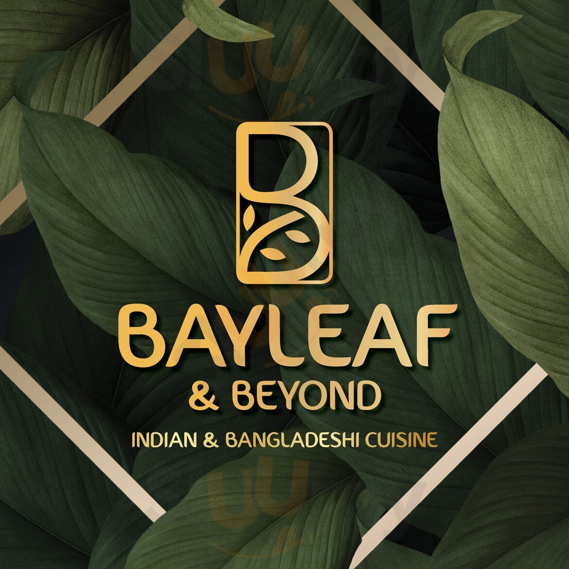 Bayleaf & Beyond Doncaster