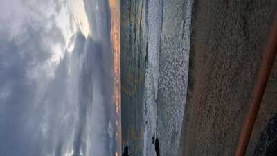 The Fish Shed St Ives