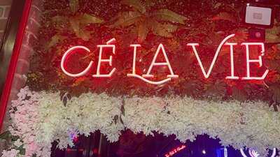 Ce La Vie Lounge London