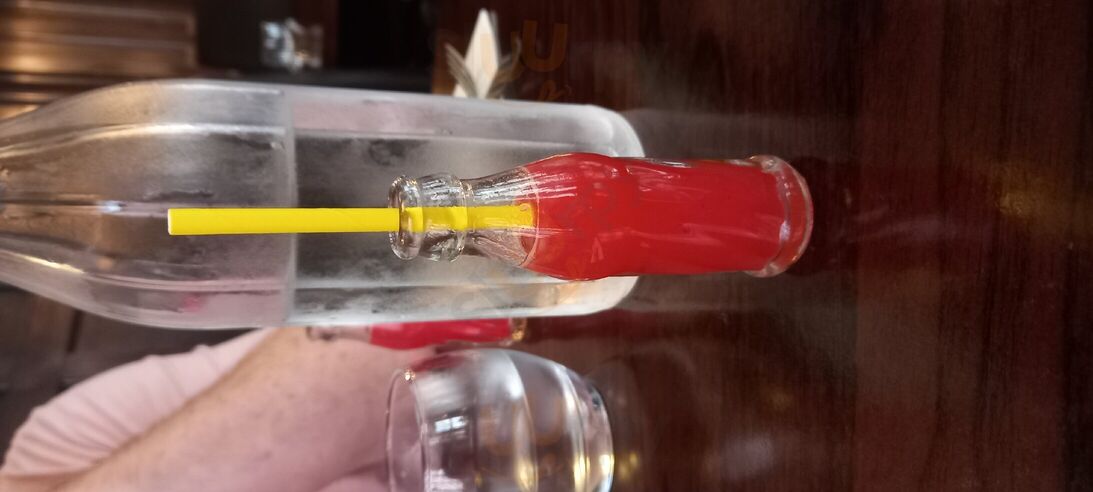 Only Food And Courses