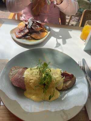 Apricot Brunch + Bar