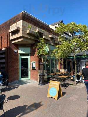 Apricot Brunch + Bar