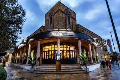 Banana Tree Greenwich