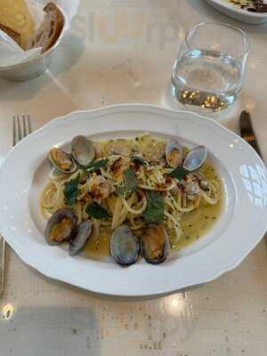 Pollini - Ladbroke Hall