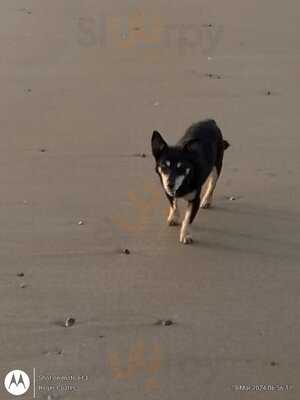 Oakley's Bar And Kitchen