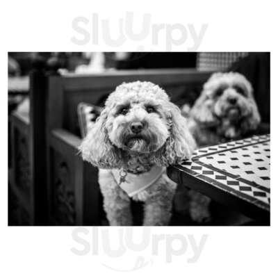 Cafe Andaluz Stockbridge