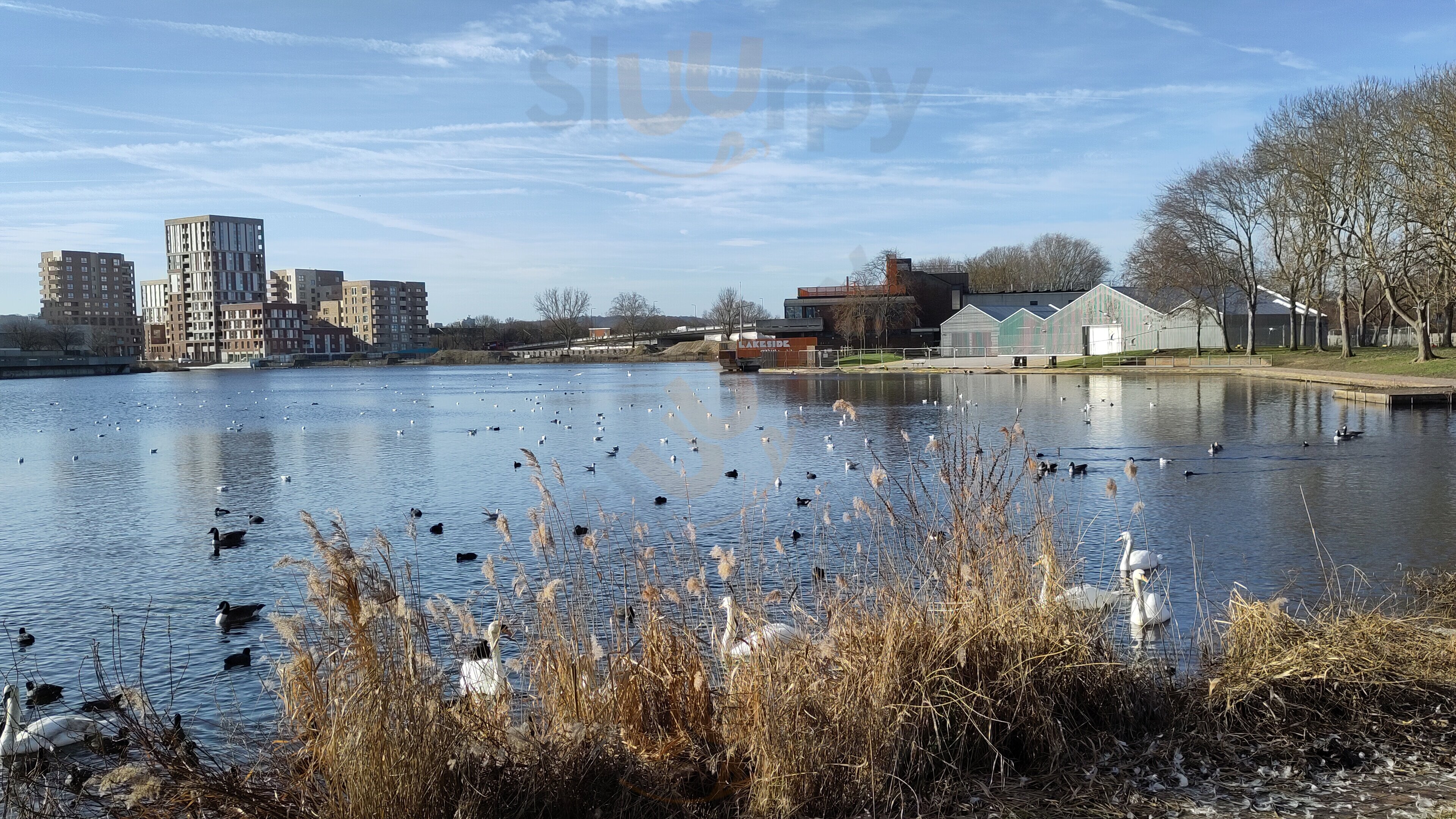 The Thamesmead Social