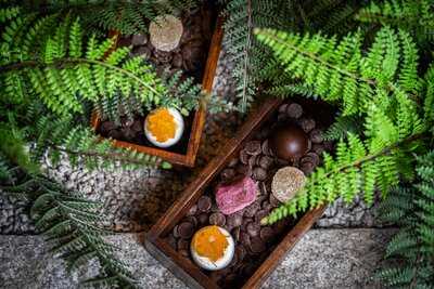 Rai London Tottehnam Court Road