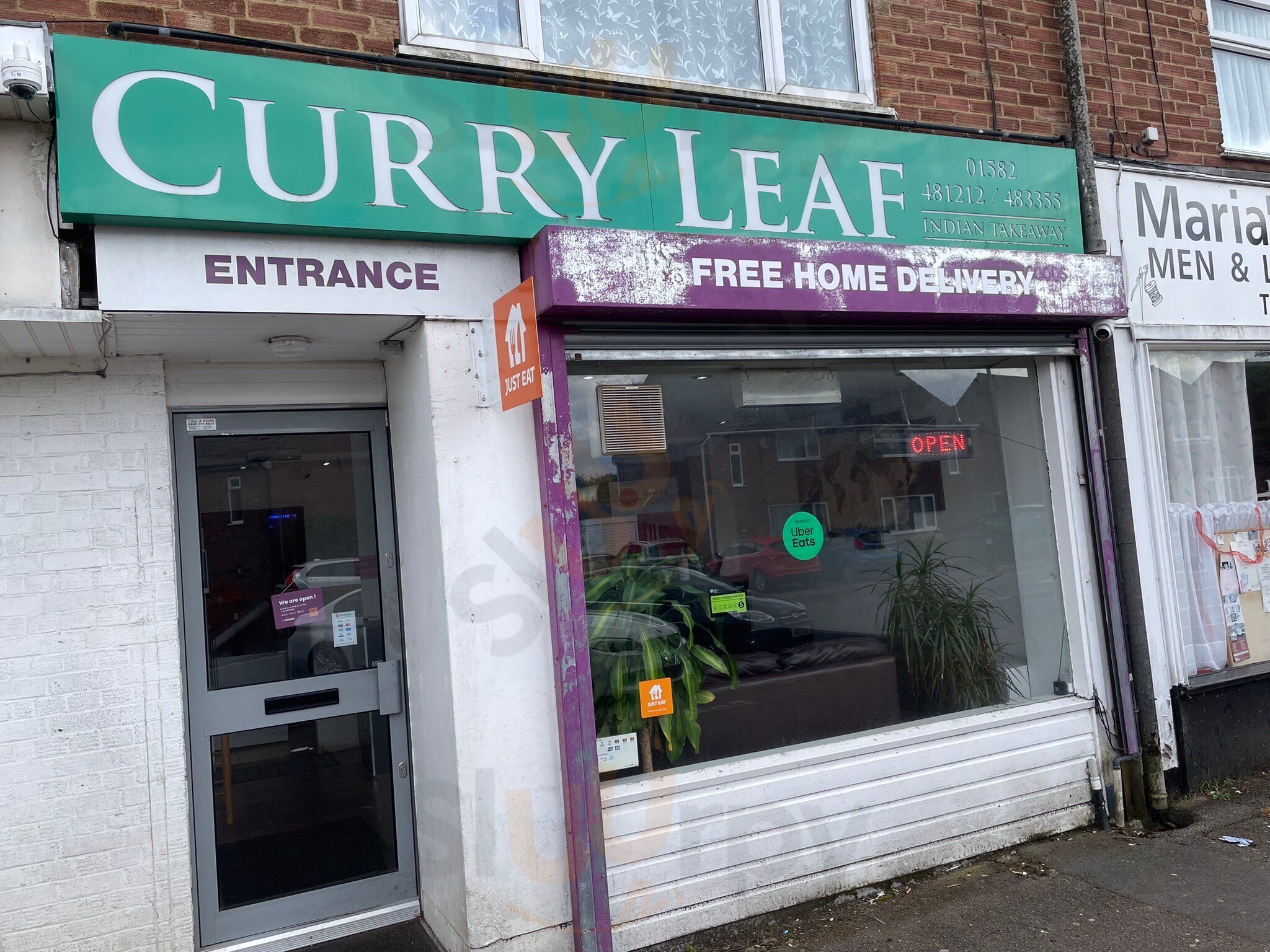 Curry Leaf