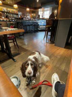 The Glass House Whitley Bay