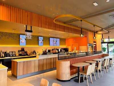 Starbucks Shrub Hill