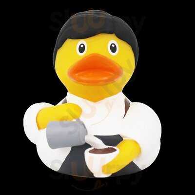 Ducks Coffee Co