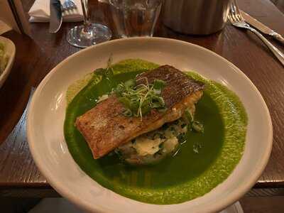 The Quill And Scholar