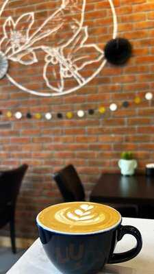 Songbird Speciality Coffee