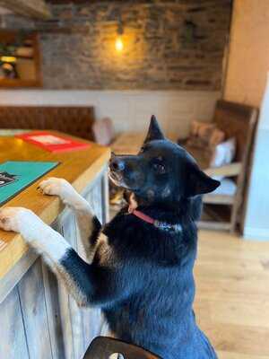 The George & Dragon Inn, Knighton