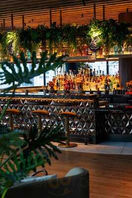 Los Mochis London City