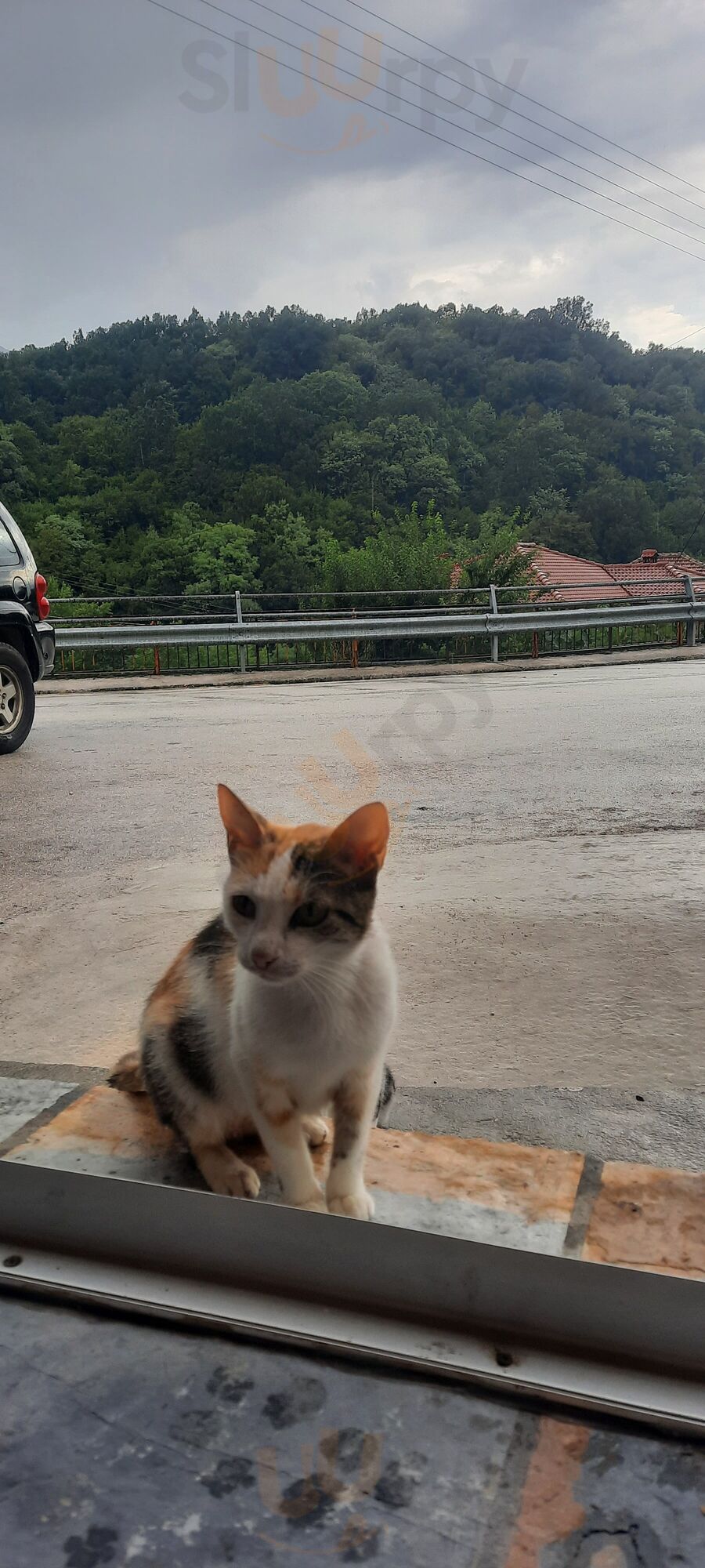 Ταβέρνα Ασπασία