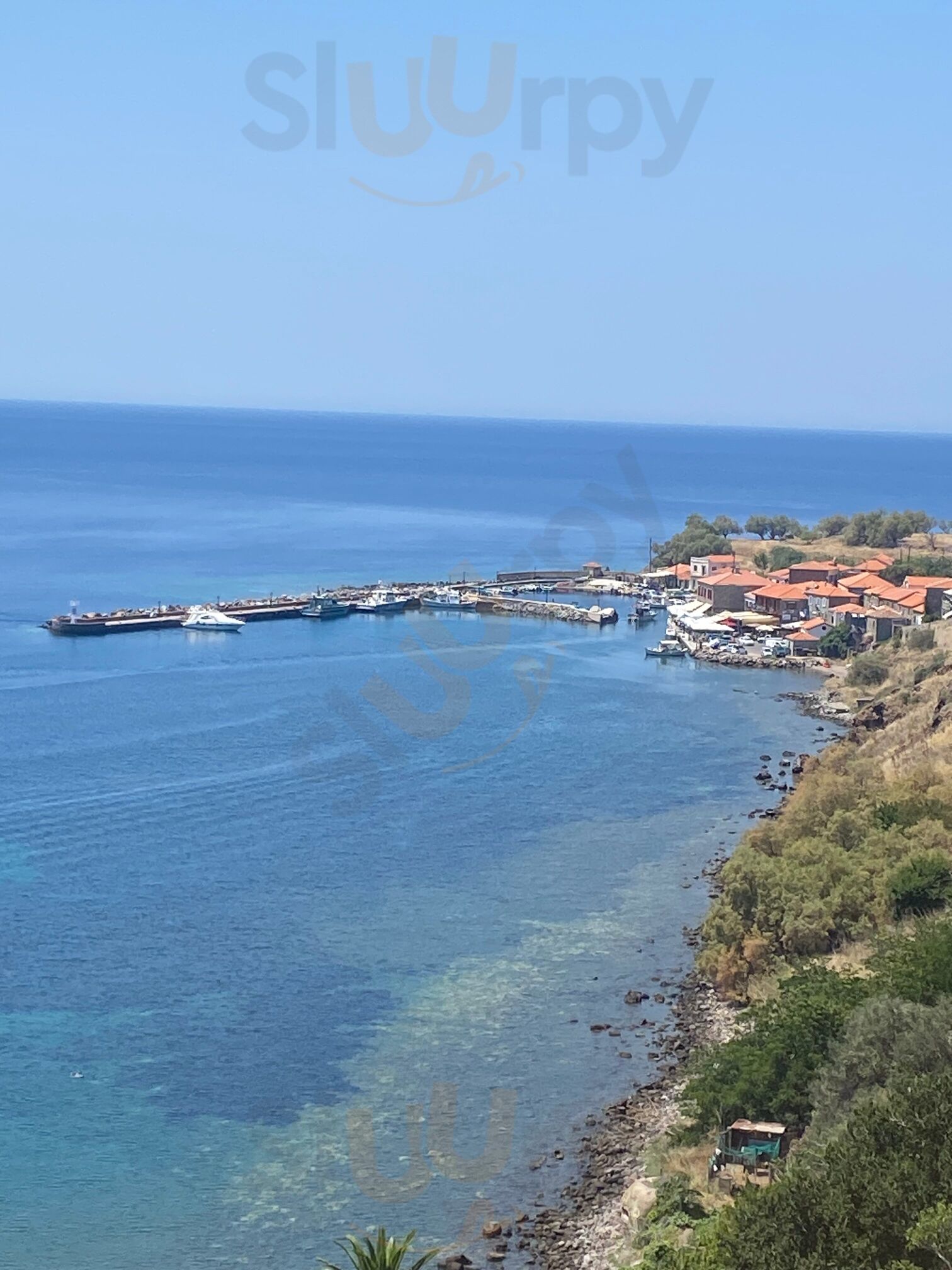 Ο Γάτος