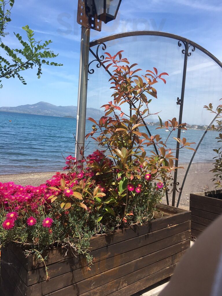 Διόνυσος