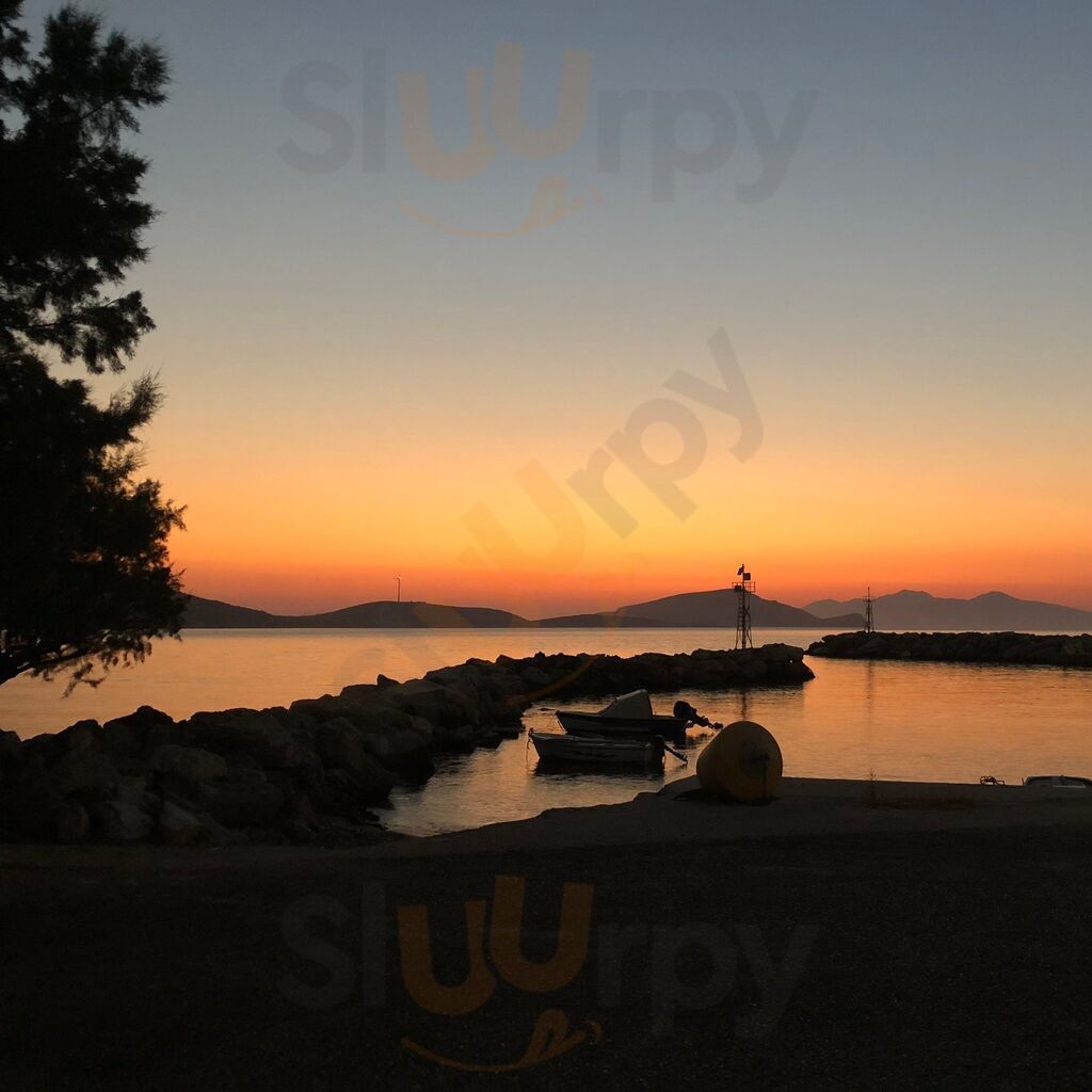 Το Δελφίνι