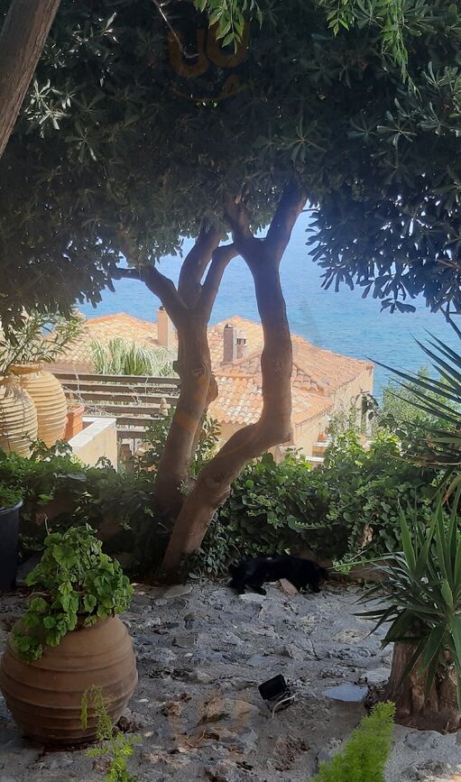 Το Κανονι