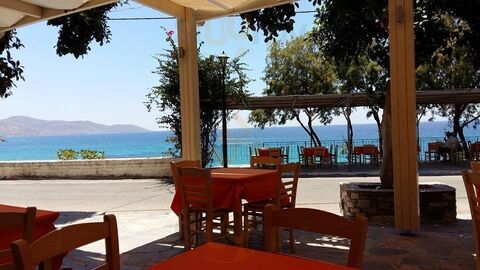 Ανεμώνη