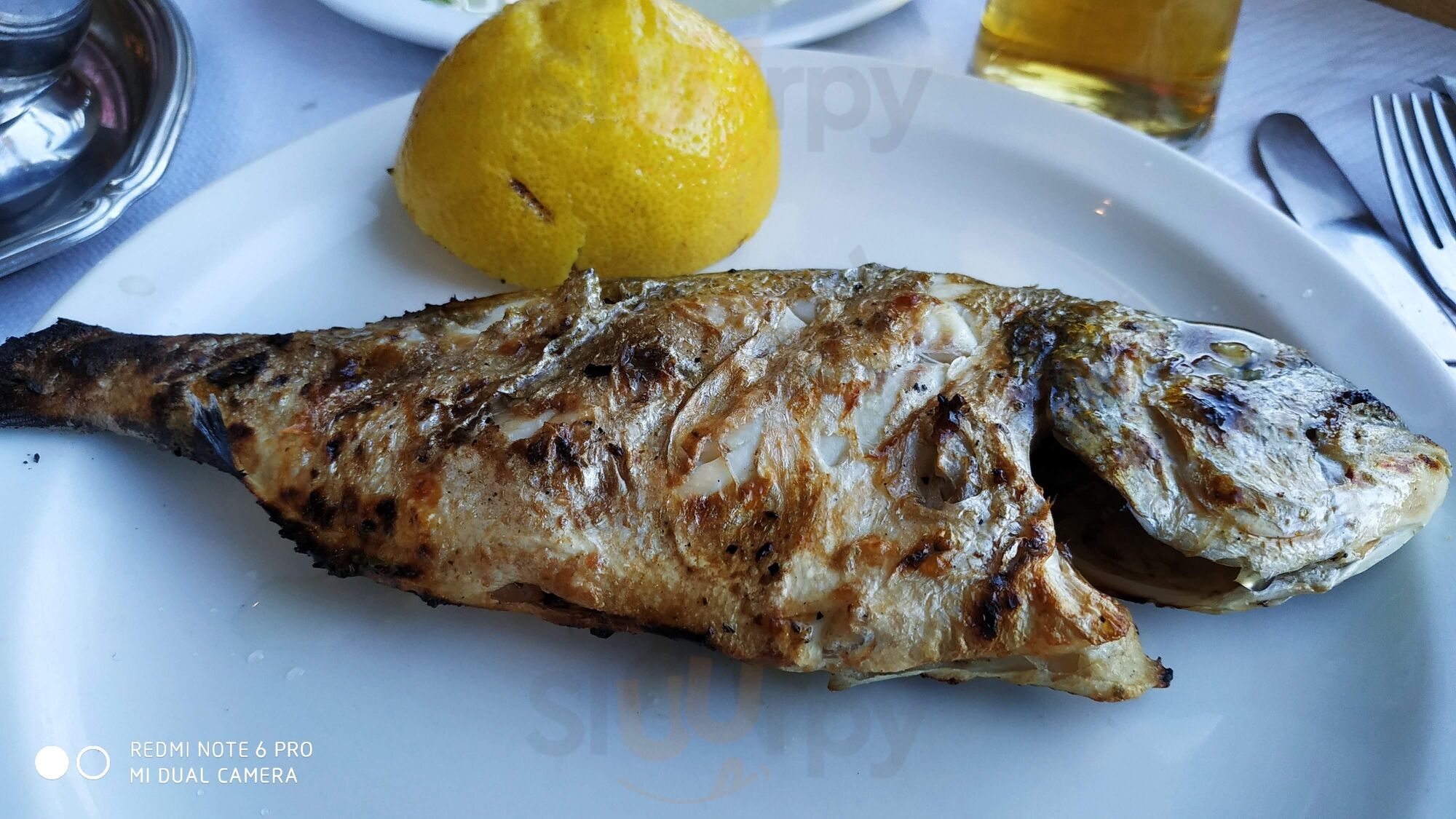Το Μουράγιο