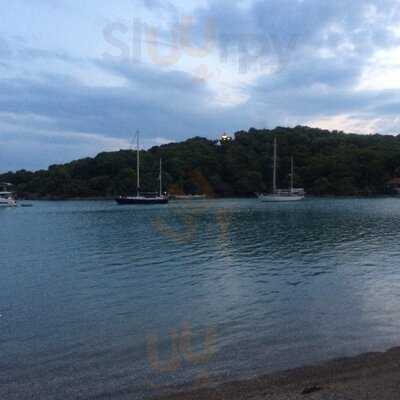 Τζιέρης Ταβέρνα