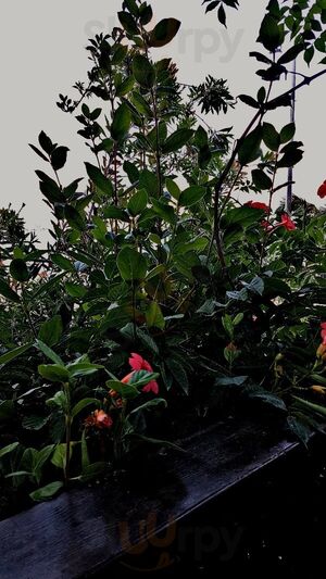 Harbour House Restaurant