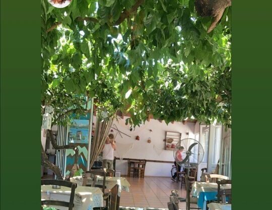 Traditional Restaurant  Varsamas