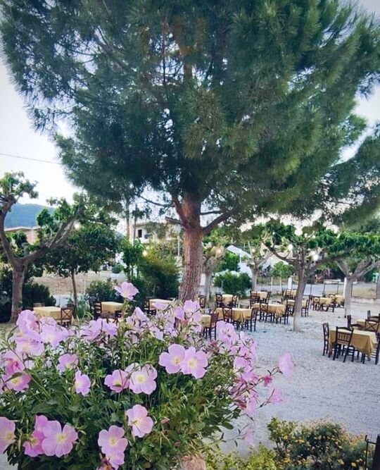 Τα Πετράλωνα