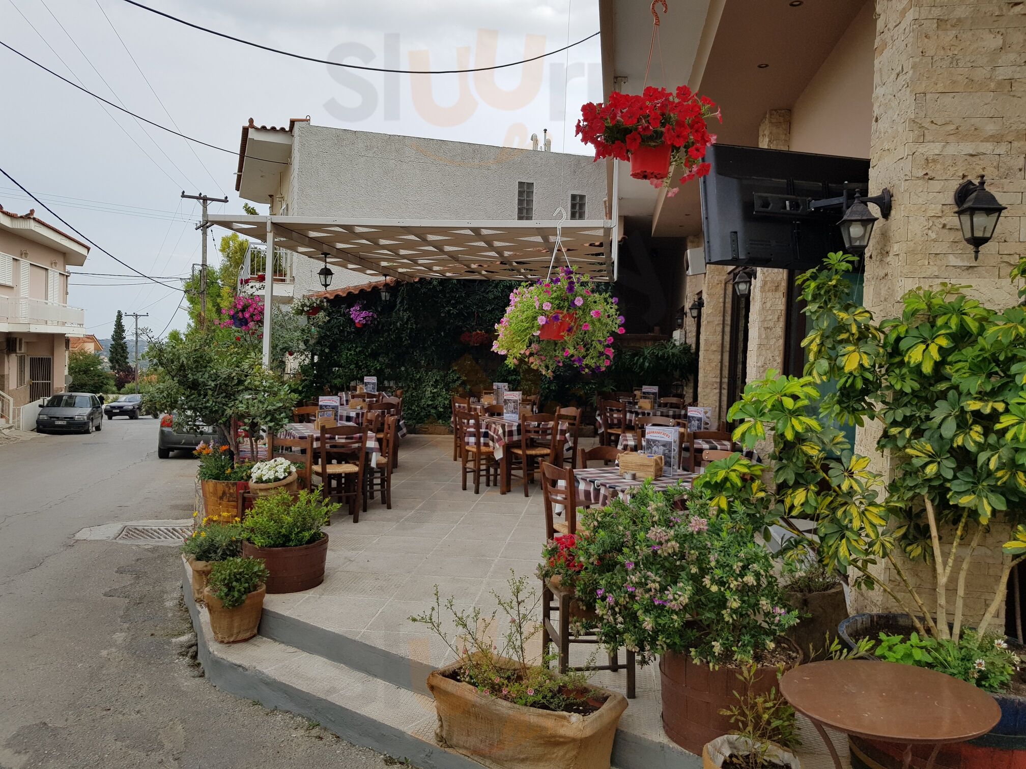 Μπακαλόγατος