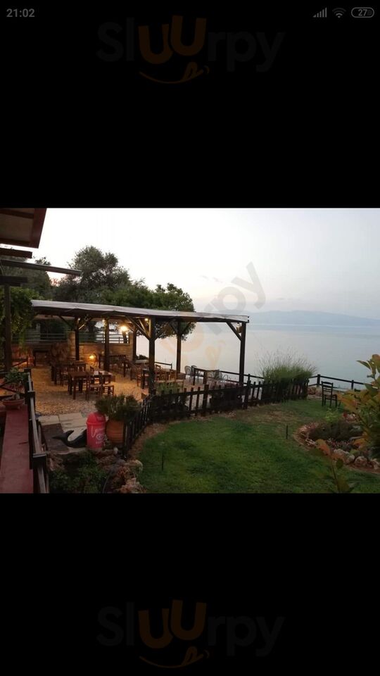 Ο θαλασσολιθος