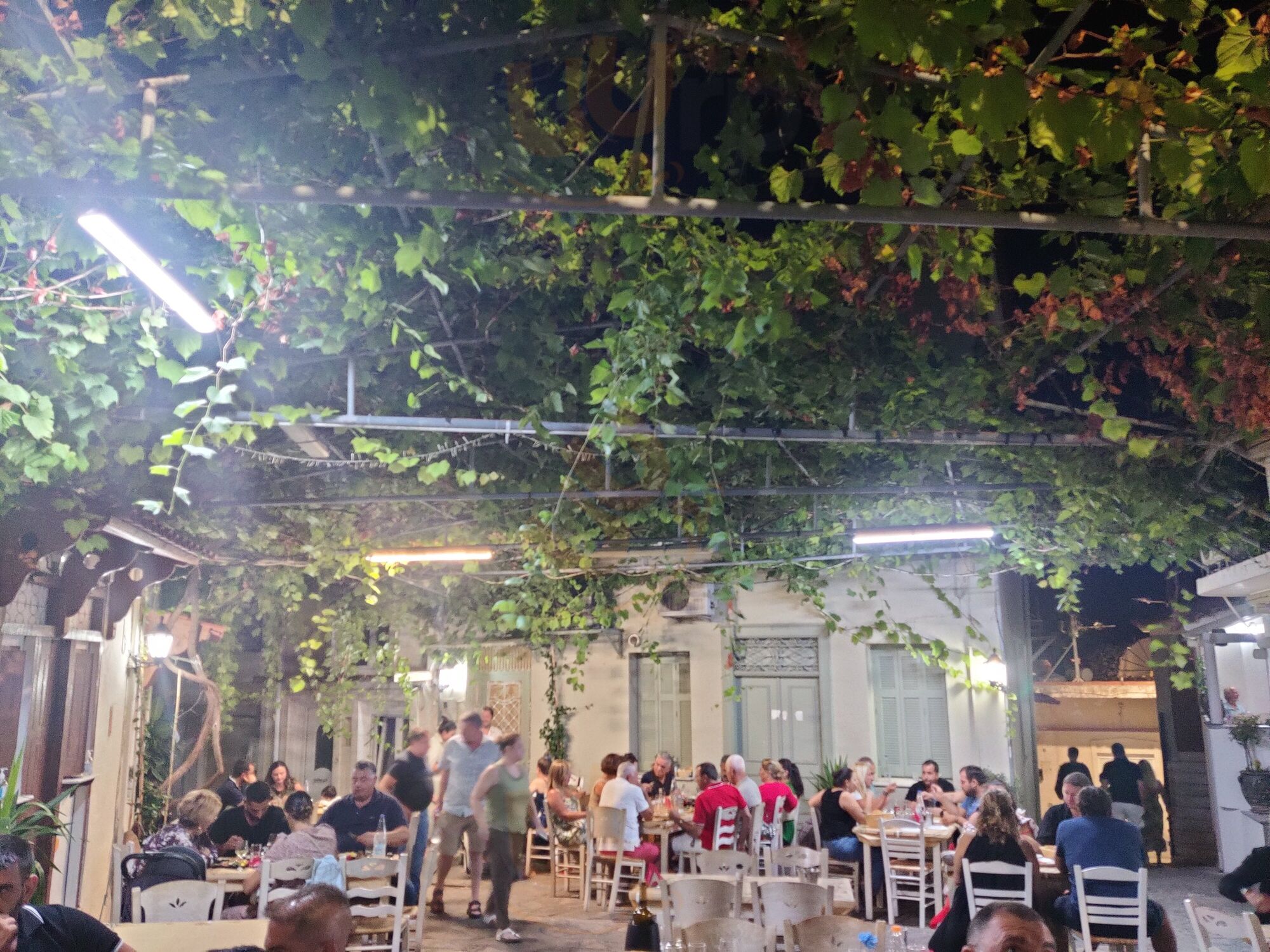 Τριαντάφυλλος