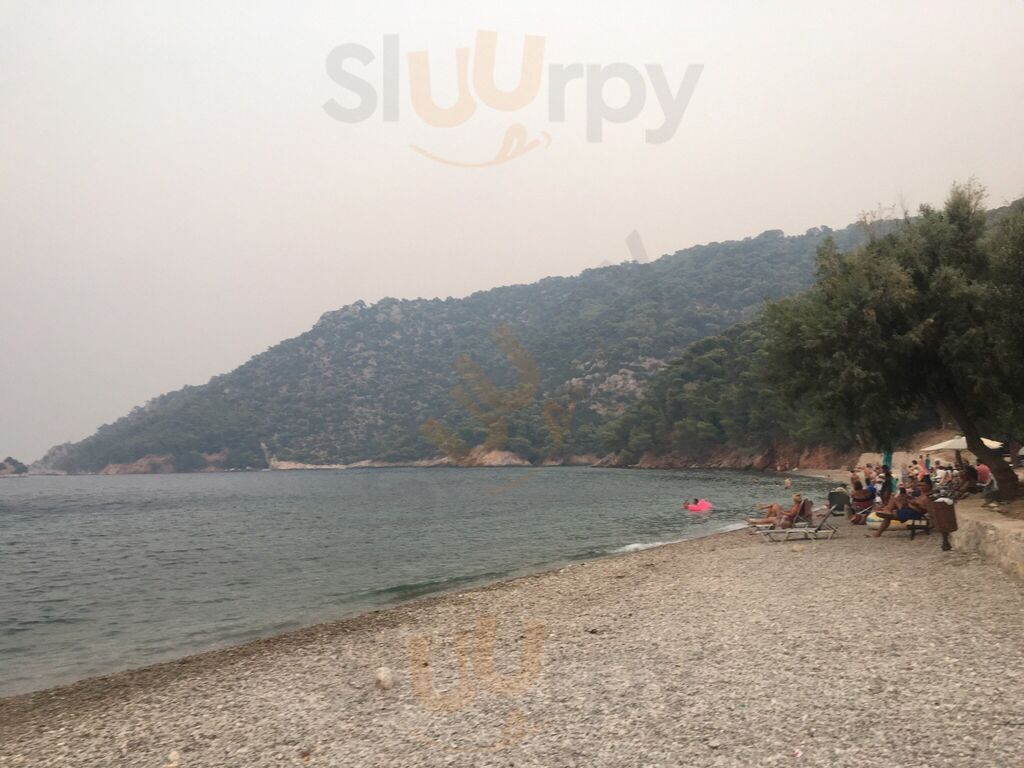 Ψαροταβέρνα Η Σιδερώνα