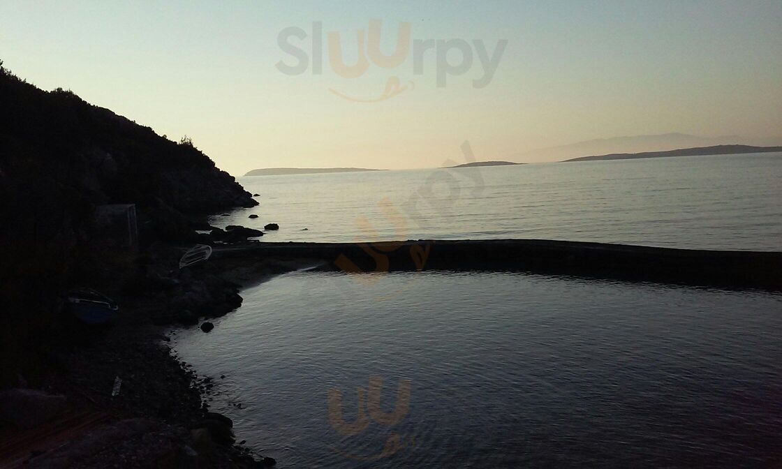 Nkos And Angela's Tavern