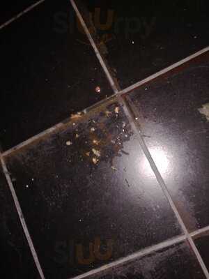 Anatolian Lounge - Hookaholic