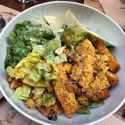 Odori Vermuteria Di Atene