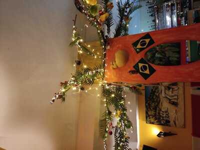 Κίτρινος Σκίουρος