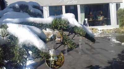 All Day Eat Drink Relax