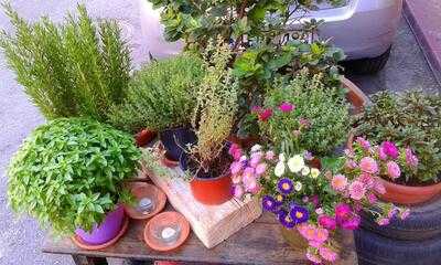 Η Παράνγκα του Σωτήρη