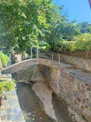 Kastanofolia Taverna