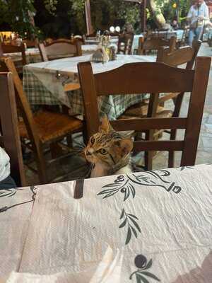 Kastanofolia Taverna