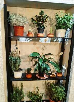 Παλαιστινα Μεζε μπαρ