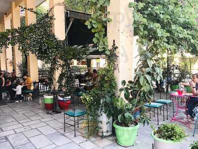 Αλουστίνες