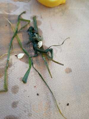 Το Στέκι του Ηλία