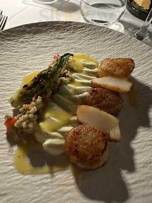 Metropolis Roof Garden