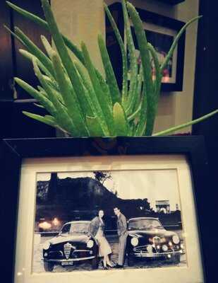 Nuovo Alfisti Espresso Bar